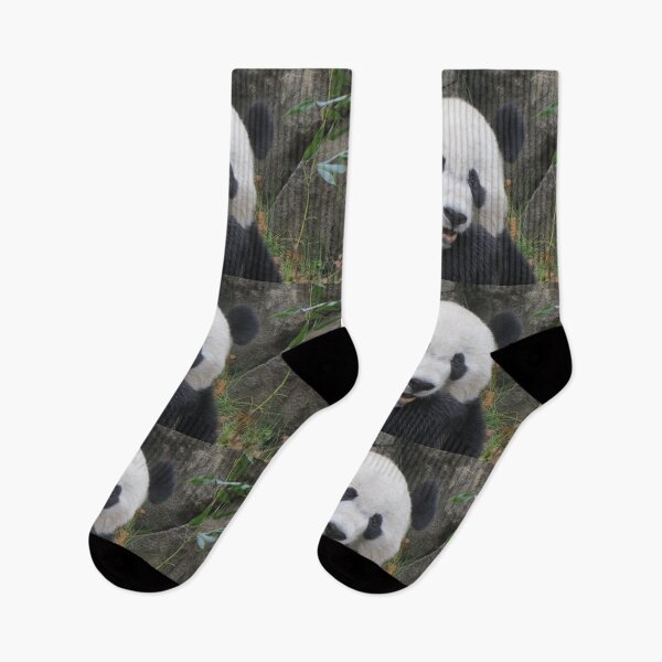 Item preview, Giant Panda Bei Bei at the National Zoo designed and sold by Zoo and Nature Photography by Karie.