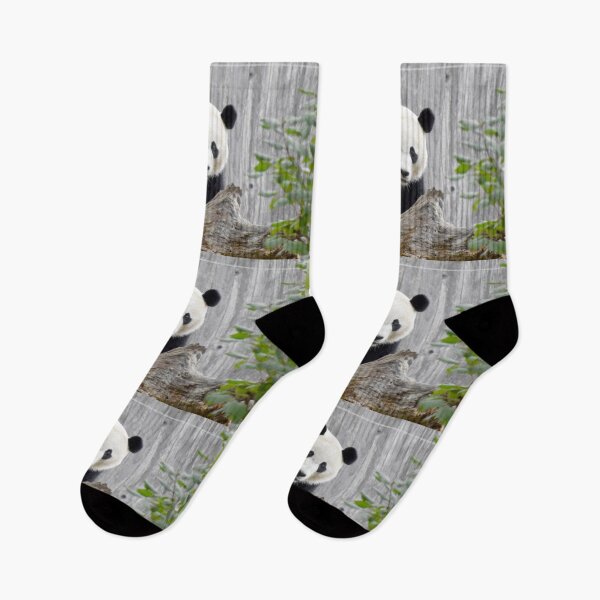 Item preview, Bei Bei at the National Zoo designed and sold by Zoo and Nature Photography by Karie.