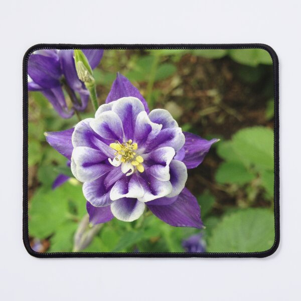 Item preview, Petals of Beauty designed and sold by LeilaneDesigns.