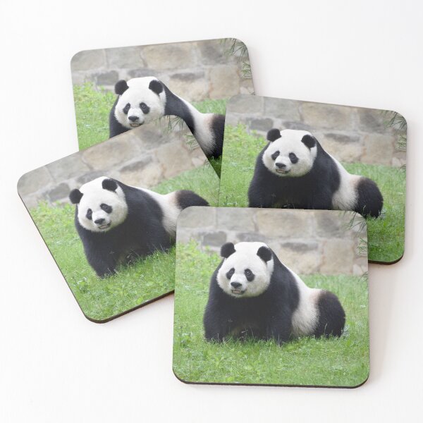 Item preview, Giant Panda Mei Xiang at the National Zoo designed and sold by Zoo and Nature Photography by Karie.