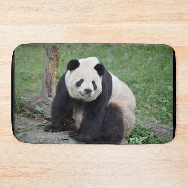 Item preview, Giant Panda Tian Tian at the National Zoo designed and sold by Zoo and Nature Photography by Karie.