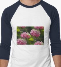 hydrangea in the garden Men's Baseball ¾ T-Shirt