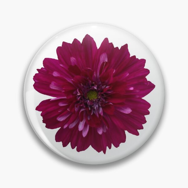 Item preview, Pink Cosmos Flower Still Life Floral Photography designed and sold by CottoVerdi.