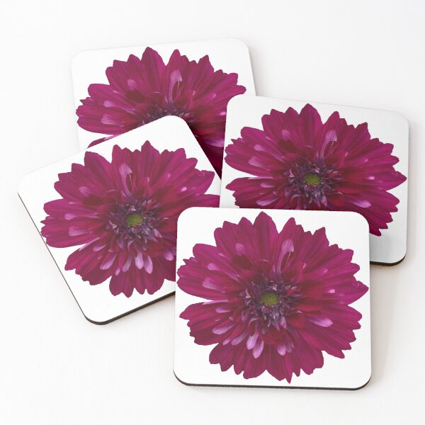 Item preview, Pink Cosmos Flower Still Life Floral Photography designed and sold by CottoVerdi.