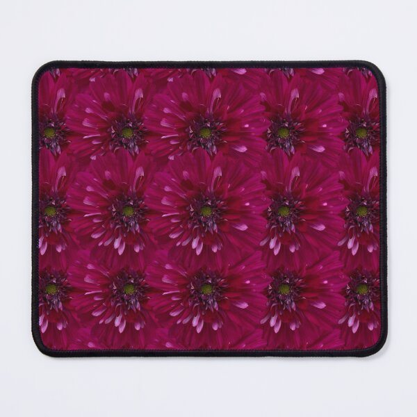 Item preview, Pink Cosmos Flower Still Life Floral Photography designed and sold by CottoVerdi.