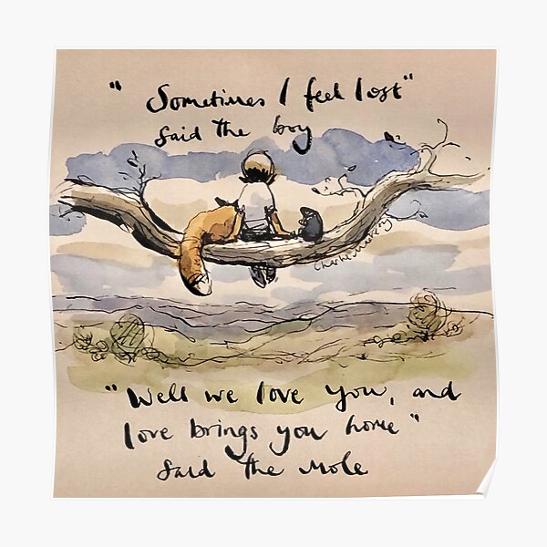 Sometimes i Fell Lost Said The Boy Poster