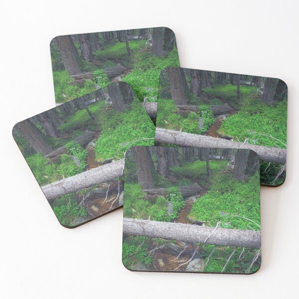 Item preview, Lush Forest Floor designed and sold by Brian Kerls Photography.