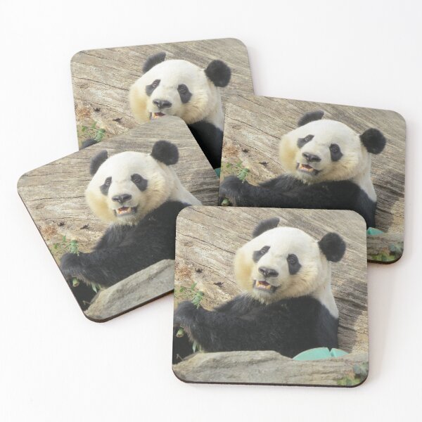 Item preview, Giant Panda Bei Bei at the National Zoo designed and sold by Zoo and Nature Photography by Karie.