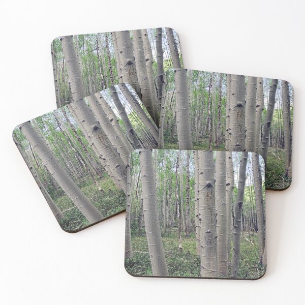 Item preview, Spring Aspen Forest designed and sold by Brian Kerls Photography.