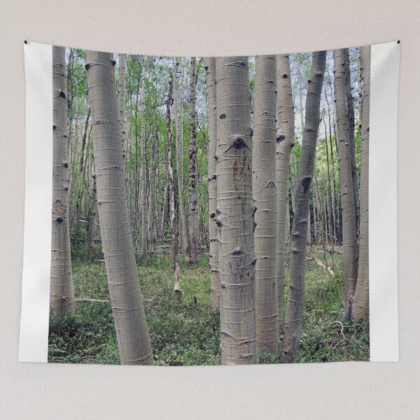 Item preview, Spring Aspen Forest designed and sold by Brian Kerls Photography.