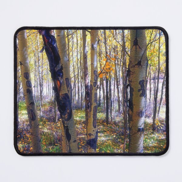 Item preview, Dappled Autumn Forest designed and sold by Brian Kerls Photography.