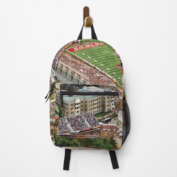 Item preview, Alumni Stadium, Boston college football stadium, old stadiums,  designed and sold by Nostrathomas66.