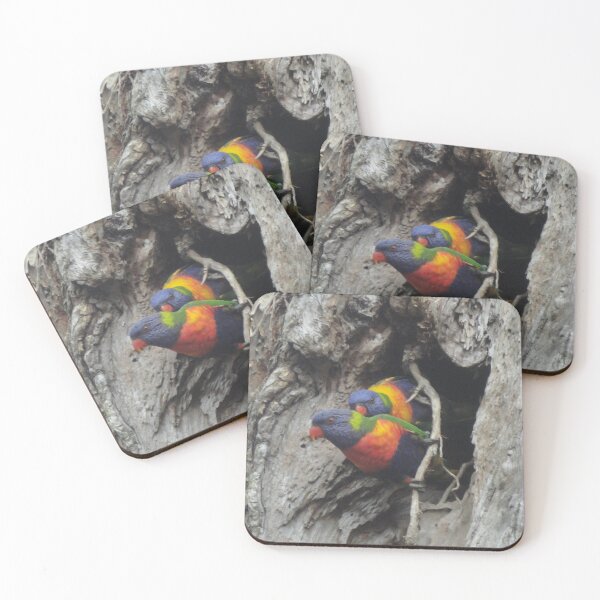 Item preview, Rainbow Lorikeets Sunshine Coast, Queensland, Australia designed and sold by Oldrubberpedals.
