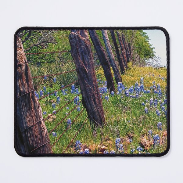 Item preview, Flowers and Fence Posts designed and sold by Brian Kerls Photography.