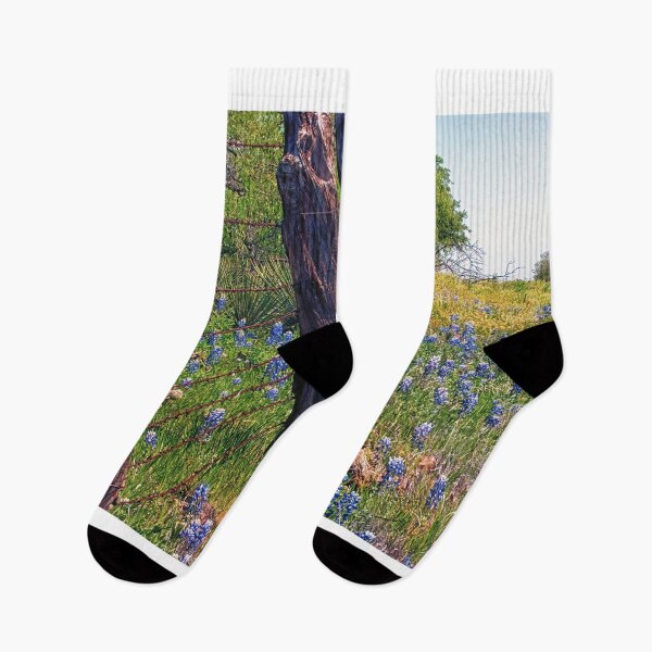 Item preview, Flowers and Fence Posts designed and sold by Brian Kerls Photography.