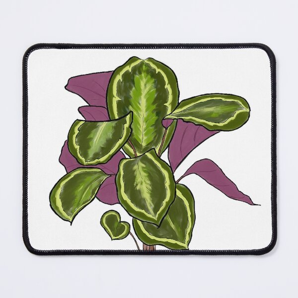 Item preview, Calathea Medallion designed and sold by CarlaTheeArtist.