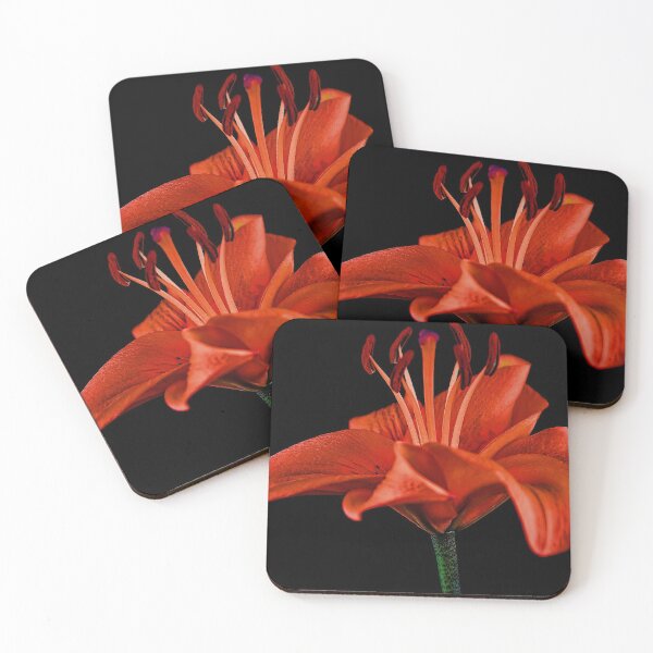 Item preview, Red Flower Design designed and sold by BestStckrz.