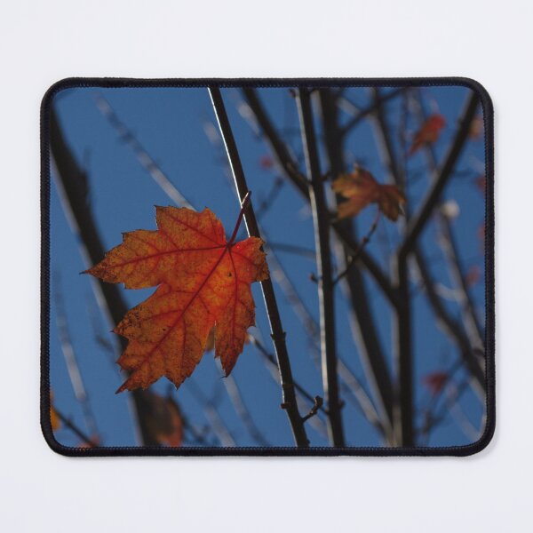Item preview, Almost Over - The Last Red Maple Leaves designed and sold by Georgia Mizuleva.