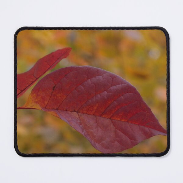 Item preview, The Warm Glow of Fall - a Horizontal View designed and sold by Georgia Mizuleva.