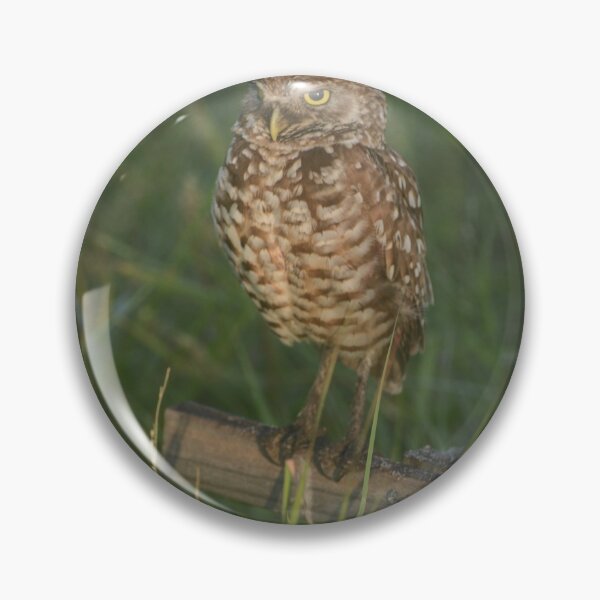 Item preview, Burrowing Owl Nest designed and sold by TinyCameraNinja.