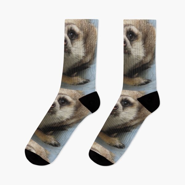 Item preview, Meerkat at the National Zoo designed and sold by Zoo and Nature Photography by Karie.