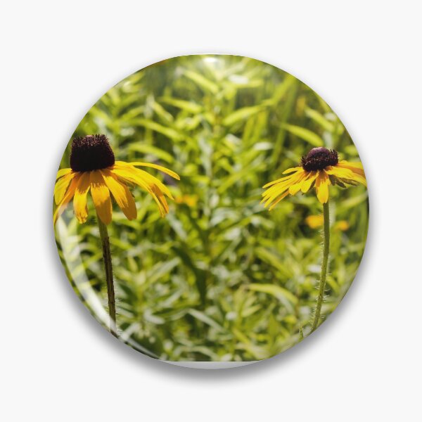 Item preview, Duet of Susans designed and sold by Joel Bader.
