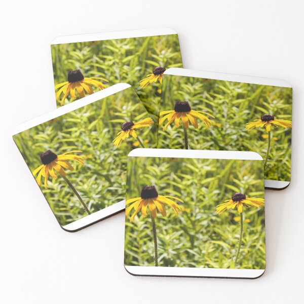 Item preview, Duet of Susans designed and sold by Joel Bader.