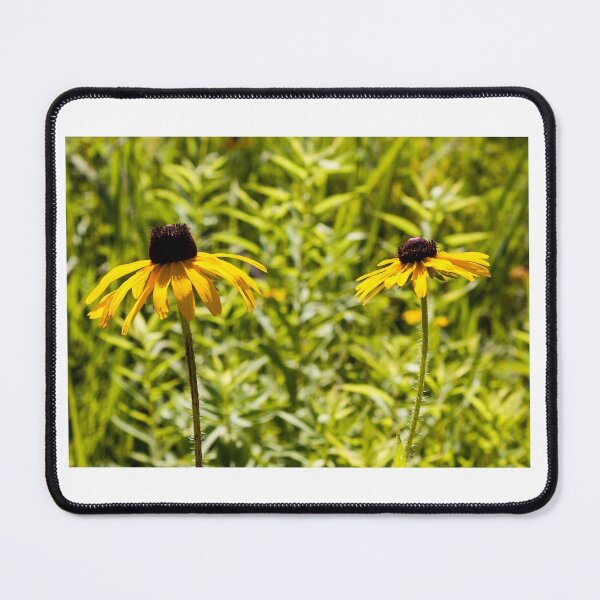 Item preview, Duet of Susans designed and sold by Joel Bader.