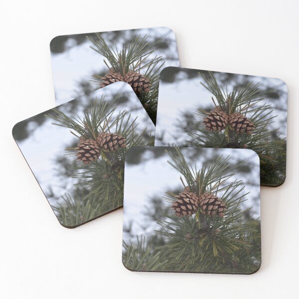 Item preview, pincones designed and sold by HowlingClothing.
