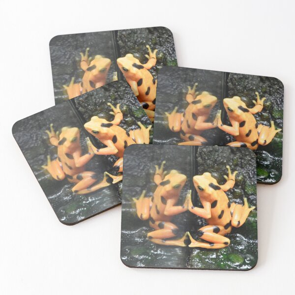 Item preview, Panamanian Golden Frog at the Maryland Zoo designed and sold by Zoo and Nature Photography by Karie.