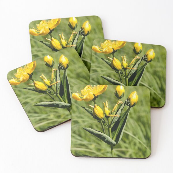 Item preview, Summer buttercups designed and sold by Joel Bader.