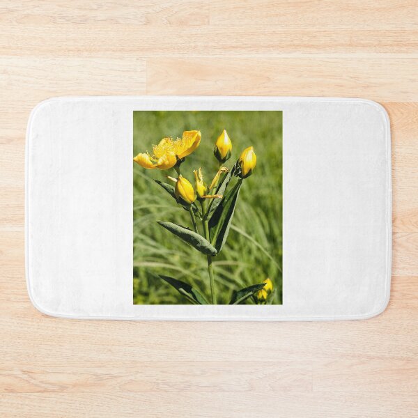 Item preview, Summer buttercups designed and sold by Joel Bader.