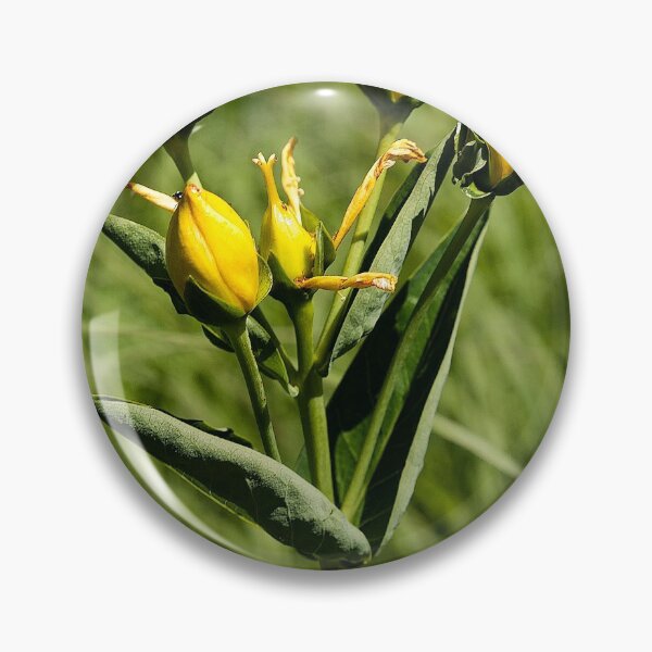 Item preview, Summer buttercups designed and sold by Joel Bader.