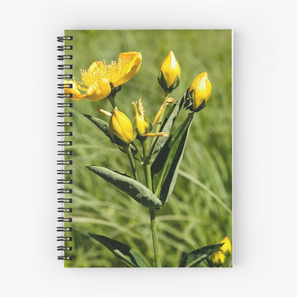 Item preview, Summer buttercups designed and sold by Joel Bader.