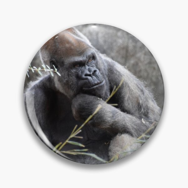 Item preview, Ozzie the Gorilla at Zoo Atlanta designed and sold by Zoo and Nature Photography by Karie.