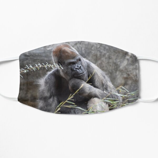 Ozzie the Gorilla at Zoo Atlanta Flat Mask