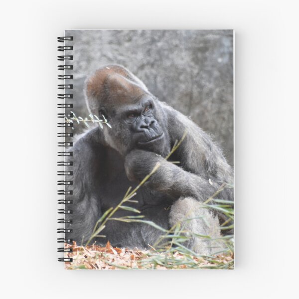Item preview, Ozzie the Gorilla at Zoo Atlanta designed and sold by Zoo and Nature Photography by Karie.