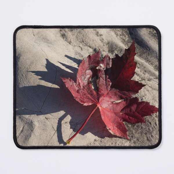 Item preview, Deep Red Maple Leaf designed and sold by Georgia Mizuleva.