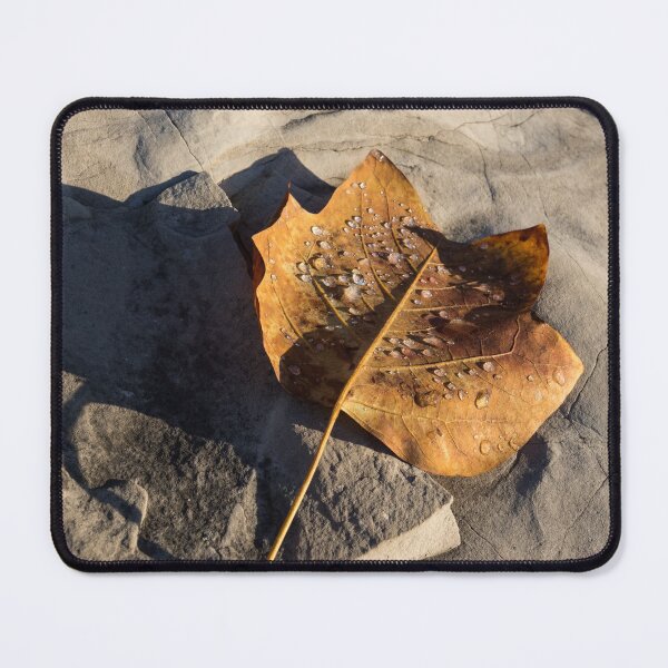 Item preview, Tulip Tree Leaf – Frozen Raindrops in the Sunshine designed and sold by Georgia Mizuleva.