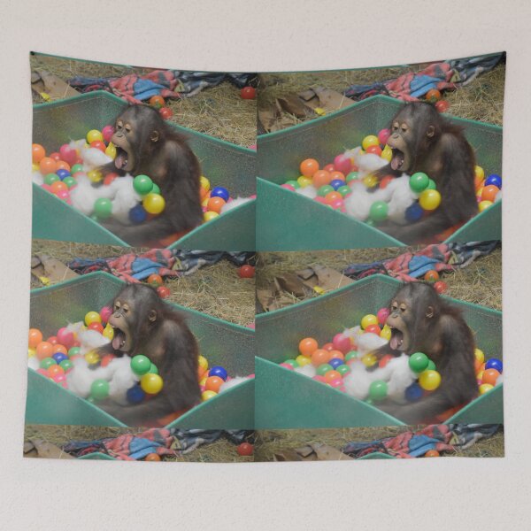 Item preview, Orangutan Redd at the National Zoo designed and sold by Zoo and Nature Photography by Karie.