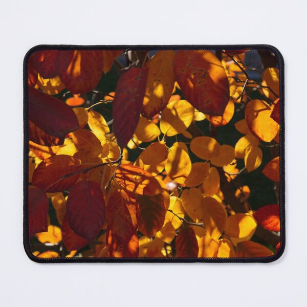 Item preview, Bold and Colourful - Take Three designed and sold by Georgia Mizuleva.