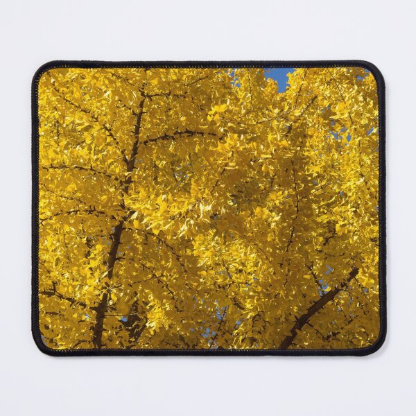 Item preview, Ginkgo - Beautiful Autumn Gold designed and sold by Georgia Mizuleva.