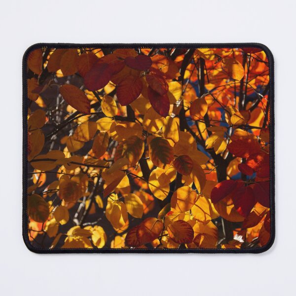 Item preview, Colourful Sunny Autumn Patterns designed and sold by Georgia Mizuleva.