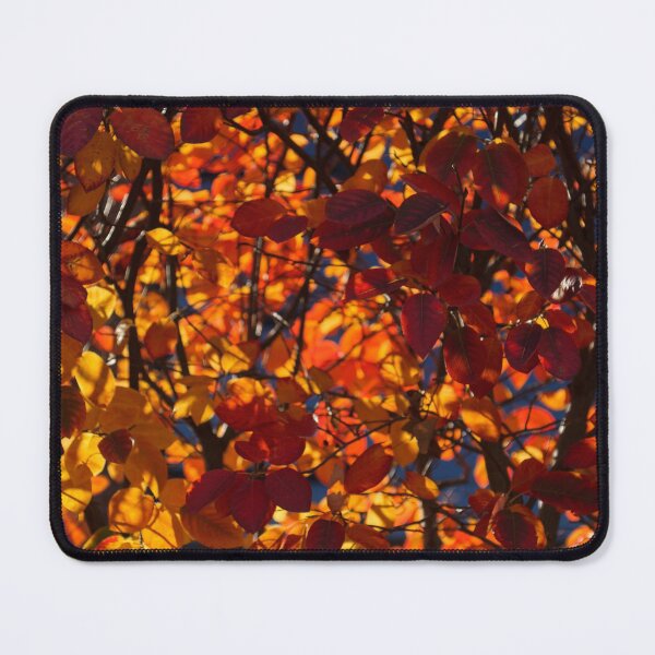 Item preview, Sunny Autumn Patterns designed and sold by Georgia Mizuleva.
