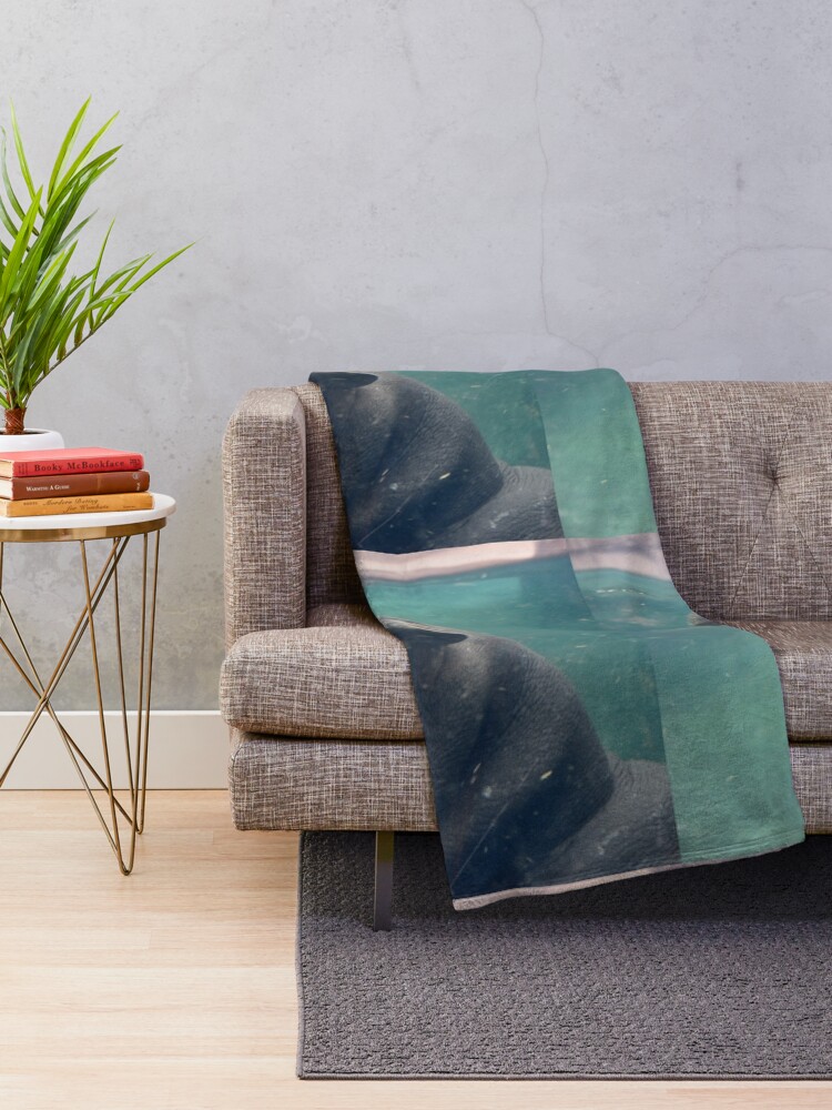 Alternate view of Fiona the Hippo at the Cincinnati Zoo Throw Blanket