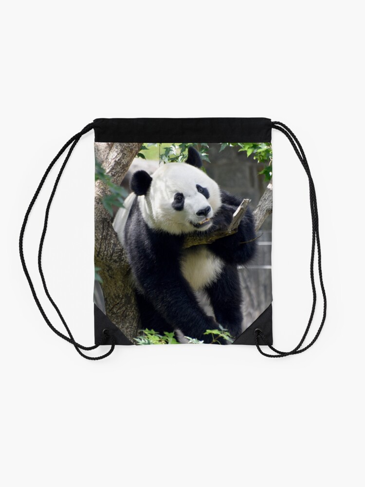Alternate view of Giant Panda Bei Bei at the National Zoo Drawstring Bag