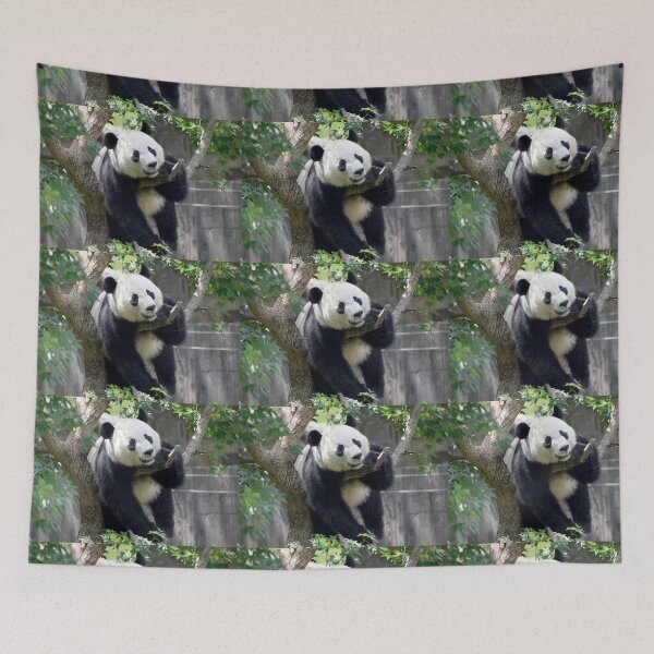 Item preview, Giant Panda Bei Bei at the National Zoo designed and sold by Zoo and Nature Photography by Karie.