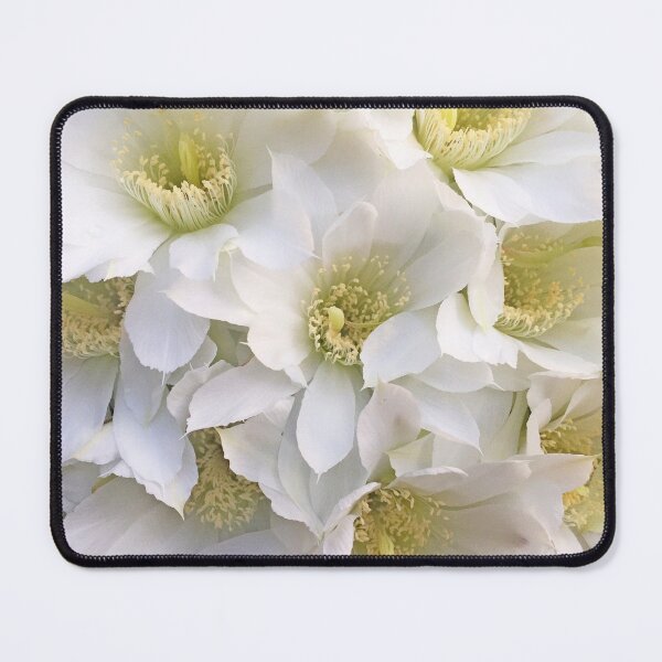 Item preview, White Yellow cactus flowers by Iritof designed and sold by iritof.