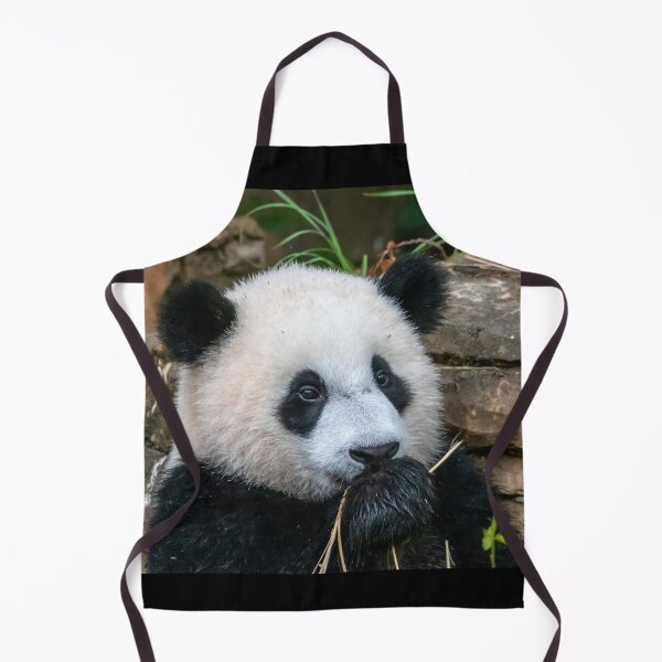Item preview, Giant Panda Xiao Qi Ji at the National Zoo designed and sold by Zoo and Nature Photography by Karie.