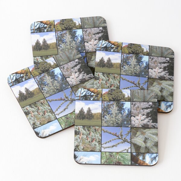 Item preview, Evergreen Pine Spruce Tree Large Collage designed and sold by JariHawk.